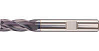 Fortis 4317784742184 frees