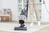 Hoover Upright HL5 PUSH&LIFT Anti-Twist Home Vacuum HL500HM