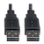 Tripp Lite UR020-010 Universal Reversible USB 2.0 Cable (Reversible A to Reversible A M/M), 10 ft. (3.05 m)