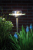Paulmann Outdoor solaire spies Special Line Ufo LED Edelstaal, helder, set van 1