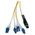 Tripp Lite Preloaded Fiber Panel, 1U - 2x (12F MTP/MPO-APC to 4x LC Duplex F/M) 8F Trunk Cables, OS2 Singlemode, 20 m (65.6 ft.)