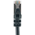 Schwaiger CKB6005 053 netwerkkabel Zwart 0,5 m Cat6 SF/UTP (S-FTP)