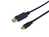 Equip 133442 DisplayPort kábel 2 M Mini DisplayPort