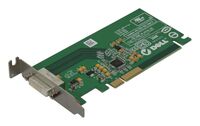 Low-profile DVI-D PCI Express , adapter card Lead Free,