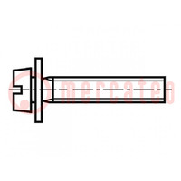 Schraube; M4x10; 0,7; Kopf: Zylinder; gerade; 1,2mm; Stahl; Zink