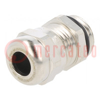 Cable gland; PG7; IP68; brass; HSK-M-Ex