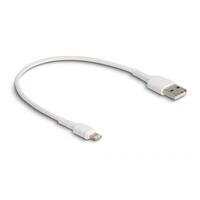 DELOCK USB Ladekabel für iPhone, iPad, iPod weiß 30 cm