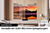 Samsung 55" OLED 4K S95D Tizen OS™ Smart TV (2024)
