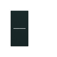 Enjoliveur interrupteur a voyant gallery 1 module night (WXD011N)