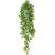 Epipremnum blad minihangplant