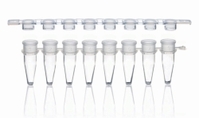 0.2ml Tiras de 8/12 tubos de PCR con tiras de tapones por separado PP