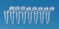0.20ml Tiras de 8 tubos PCR con tapones individuales adjuntos PP