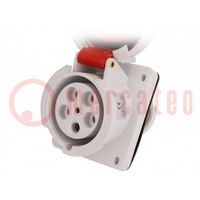 Connector: AC supply 3-phase; socket; female; 63A; 400VAC; IP67