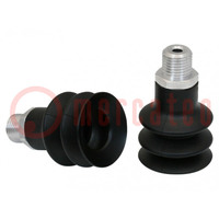 Suction cup; 32mm; G1/4 IG; Shore hardness: 55; 10cm3; FSG
