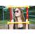 Imagebild Sunglasses "Verano", transparent