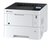 Kyocera A4 SW-Laserdrucker ECOSYS P3145dn/KL3 Bild 1