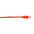 Black Box CAT6PC-004-RD cavo di rete Rosso 1,2 m Cat6 U/UTP (UTP)