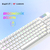 Havit RGB Mekanik Gaming Klavye Beyaz teclado USB QWERTY Inglés Blanco