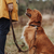 Hunter Solid Education 2 m Braun, Orange Leder Hund Trainingsleine