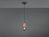 Industrial LED Pendellampe mit Drahtkorb Schwarz matt und Holzfassung, Ø10cm
