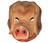 masque coque cochon