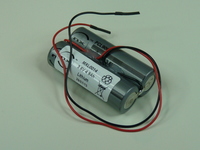 Batterie(s) Batterie lithium 2x ER14505 1S2P ST1 3.6V 5.4Ah F150
