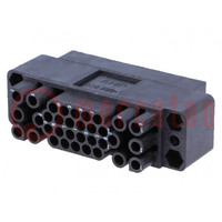 Connector: rectangular; AMP M Series; plug; male/female; PIN: 34