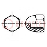 Tuerca; hexagonal; M3; 0,5; poliámido; 5,5mm; BN 83; DIN 1587