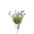 Kapsułki roślinne Click and Grow Plant Pods Lawenda 3-Pack SGR30x3