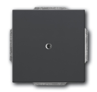 Busch-Jaeger 1710-0-3614 wall plate/switch cover Anthracite