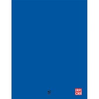 PLEIN CIEL Cahier piqûre 21x29,7cm 96 pages grands carreaux Seyès 90g. Couverture polypro Bleu