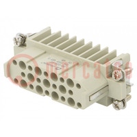 Connector: HDC; contact insert; female; DD; PIN: 25; 25+PE; crimped