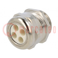 Cable gland; multi-hole; M25; 1.5; IP68; brass; Holes no: 4; 6mm