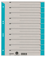 Trennblatt, A4, Karton, farbig bedruckt, 25 Stück, hellblau