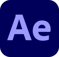 Adobe After Effects Pro Grafische Editor Overheid (GOV) 1 licentie(s) 1 jaar
