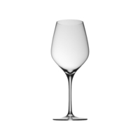 Rosenthal 10608-110001-40305 Weinglas 490 ml