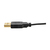 Tripp Lite P130-06N-DP-V2 video átalakító kábel 0,15 M HDMI DisplayPort Fekete