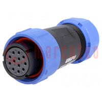 Plug; SP21; female; PIN: 12; IP68; 7÷12mm; 5A; soldering; for cable