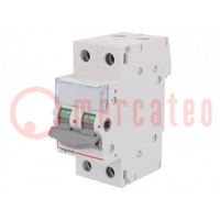 Switch-disconnector; Poles: 2; for DIN rail mounting; 32A; 400VAC