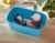 Set Aufbewahrungsbox Klein MyBox Cosy mit Organiser und Deckel, Polystyrol, blau