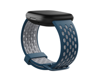 Fitbit FB174SBNVGYL accessorio indossabile intelligente Band Blu, Grigio Alluminio, Silicone