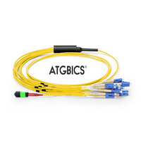 ATGBICS MTP Female-12 LC Duplex 24 Fibres OS2 9/125 Singlemode Breakout Cable, Type B, LSZH 2.0, 1m