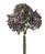 Botanic-Haus 204372-700 Künstliche Pflanze Indoor Künstliche Blütenpflanze