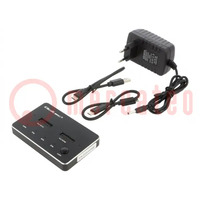 Docking station; USB 3.1 Gen 2; PnP; black