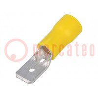 Connettore: piatto; 6,3mm; 0,8mm; maschio; 4÷6mm2; da crimpare