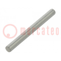 Cilindrische pen; roestvrij staal A2; BN 684; Ø: 4mm; L: 40mm