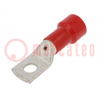 Terminale: occhiello con tubo; M14; Ø: 14,5mm; 120mm2; da crimpare