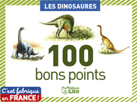 Editions Lito 01925 livre Dinosaures Français Couverture rigide 100 pages