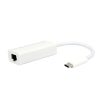 ROLINE USB 3.1 naar Gigabit Ethernet Converter