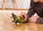 schleich ELDRADOR CREATURES Swamp Monster
